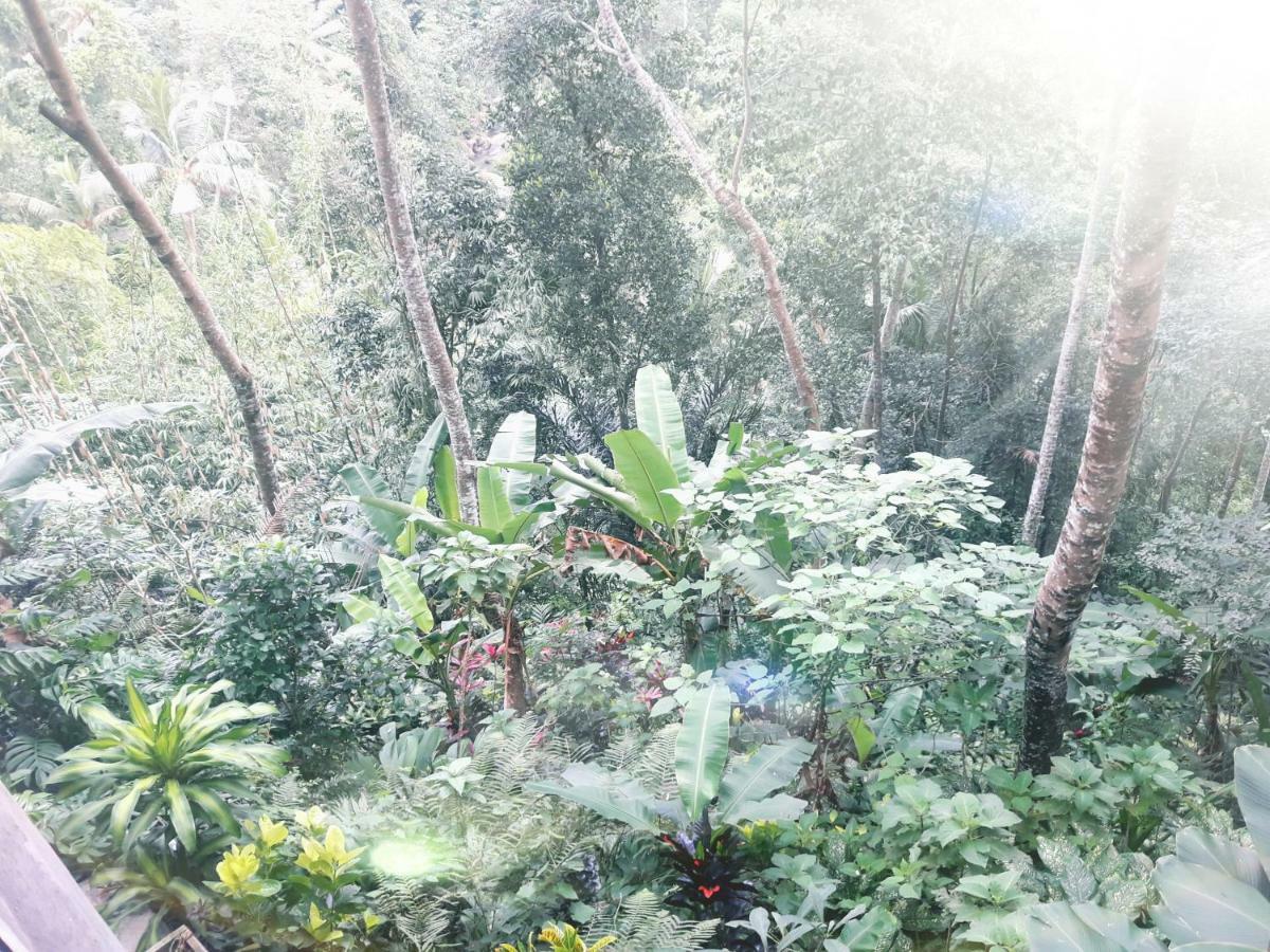 Ubud River Side House Hotel Exterior foto